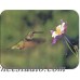 McGowan Tuftop Hummingbird and Columbine Cutting Board MCG1069
